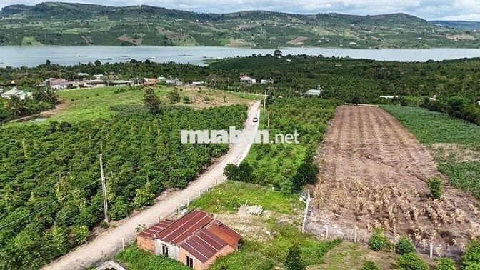 Đất View Sông full thổ 100m2 chỉ 299tr SHR