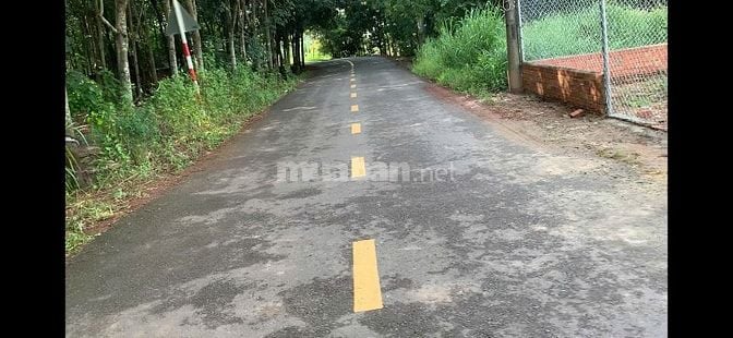 📢 CẦN BÁN GẤP LÔ ĐẤT THỔ CƯ 120m² – MẶT TIỀN ĐƯỜNG 7M