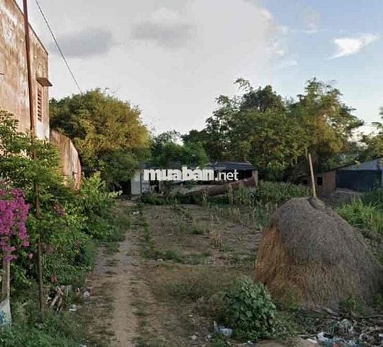 Cần bán đất 200m2 full thổ cư đường Nguyễn Du- Phường An Nhơn Đông