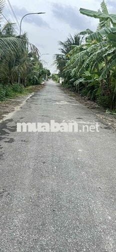 CÁCH CỔNG PHỤ KHU CÔNG NGHIỆP CHỈ VÀI BƯỚC CHÂN MÀ GIÁ CHỈ CÓ HƠN 700t