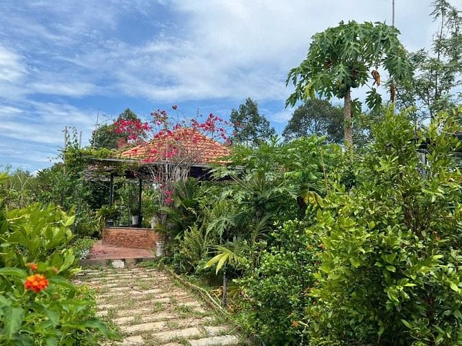 Biệt thự vườn bán gấp, 20x80m, mặt tiền đường nhựa An Nhơn Tây