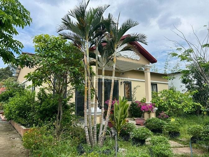 Biệt thự vườn bán gấp, 20x80m, mặt tiền đường nhựa An Nhơn Tây