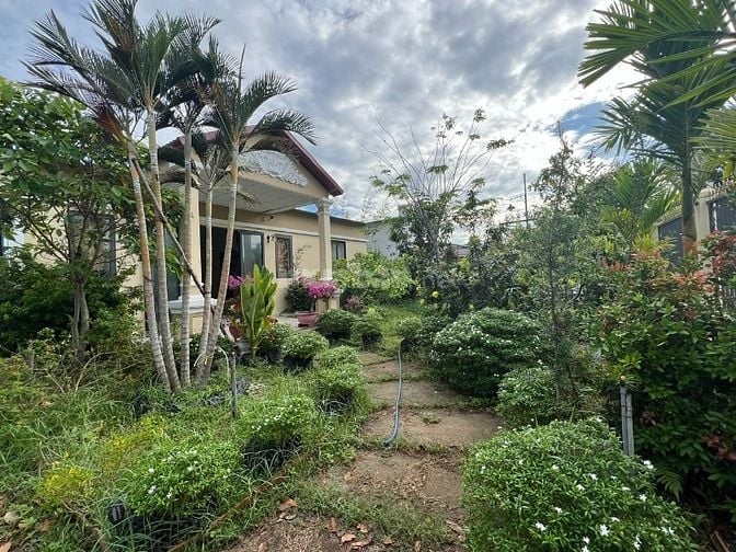 Biệt thự vườn bán gấp, 20x80m, mặt tiền đường nhựa An Nhơn Tây