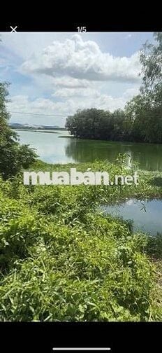 Cần bán 2 lô đất liền kề mặt tiền đường Lục Viên,Đức Lập Hạ