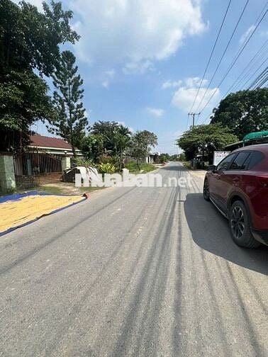 Cần bán 2 lô đất liền kề mặt tiền đường Lục Viên,Đức Lập Hạ