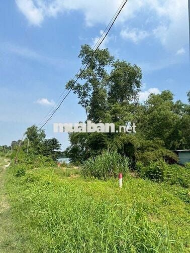 Cần bán 2 lô đất liền kề mặt tiền đường Lục Viên,Đức Lập Hạ