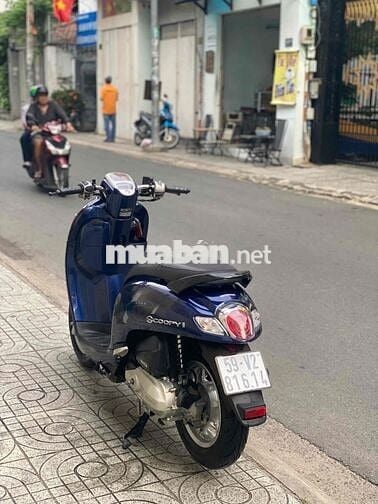 xe Zin đẹp miễn bàn