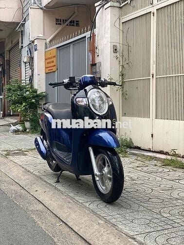 xe Zin đẹp miễn bàn