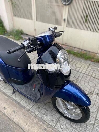 xe Zin đẹp miễn bàn