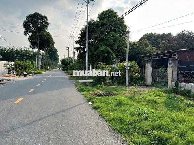 Sang gấp lô đất TPHCM 500m2 ngay mặt tiền đường huyện sẵn 200m2 thổ cư