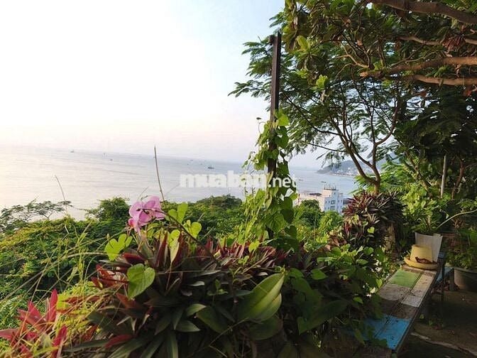 BÁN ĐẤT ĐẤT ĐƯỜNG HẢI ĐĂNG VIEW BIỂN, NÚI