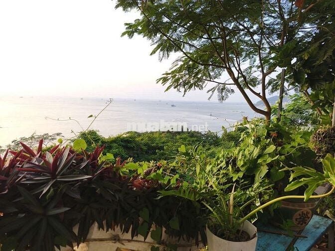BÁN ĐẤT ĐẤT ĐƯỜNG HẢI ĐĂNG VIEW BIỂN, NÚI