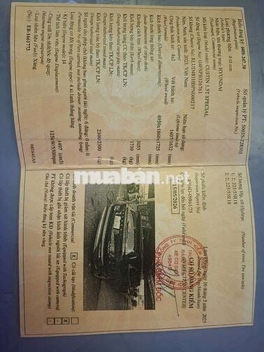 2023 1.5 Đặc biệt - 100060 km