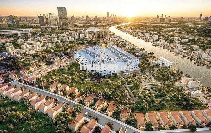 mở bán căn hộ hạng sang phú định quận 8