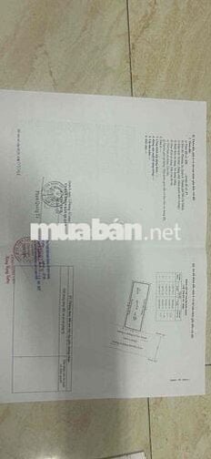 mở bán căn hộ hạng sang phú định quận 8