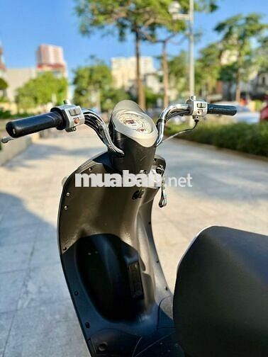 Elite 50cc 2020 học sinh cực mới