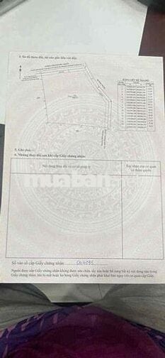 Bán đất trồng cây lâu năm đã có sổ ,