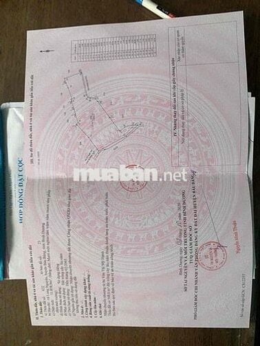 Bán đất trồng cây lâu năm đã có sổ ,