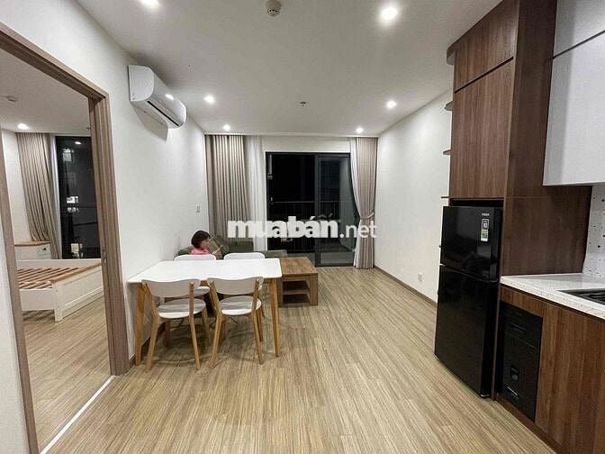 chính chủ bán căn 1N+1 45m2 TC2 Vinhomes Smart City