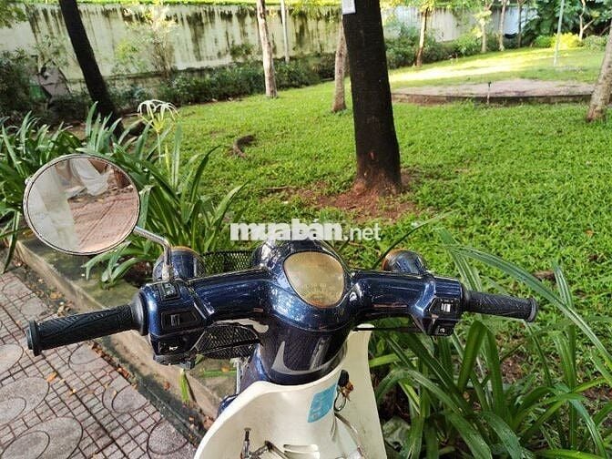 cub 50 dealim có đề, không cần bằng lái