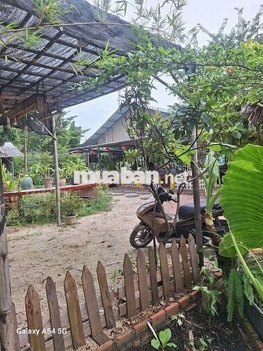 HẺM XH DTSD:300M² BÀN GHẾ ĐĐ DỤNG CỤ ĂN UỐNG VÀO CHỈ BỐ TRÍ NHẸ LÀ OK