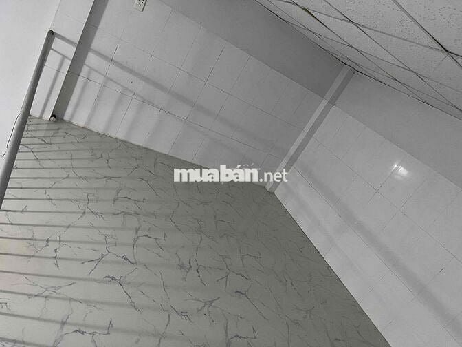 Cho thuê nhà có vườn, đường ô tô