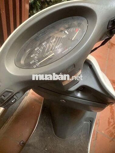 Bán spacy nhật trắng ngon