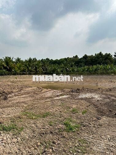 Bán hoặc cho thuê đất MT QL 1A, Full TC 8400 m2 Châu Thành, Tiền Giang