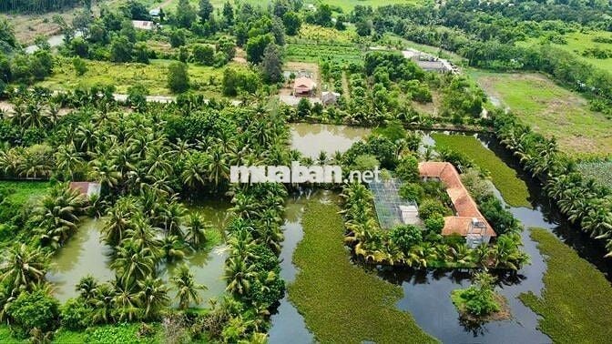 CƠ HỘI SỞ HỮU "ỐC ĐẢO XANH" ĐẲNG CẤP 5 TẠI BÌNH DƯƠNG