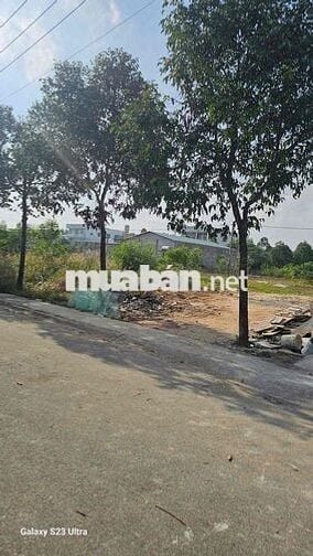 Đất 300m2 bên trường ĐH Việt Đức sổ hồng chính chủ đường nhựa 8m. Kinh