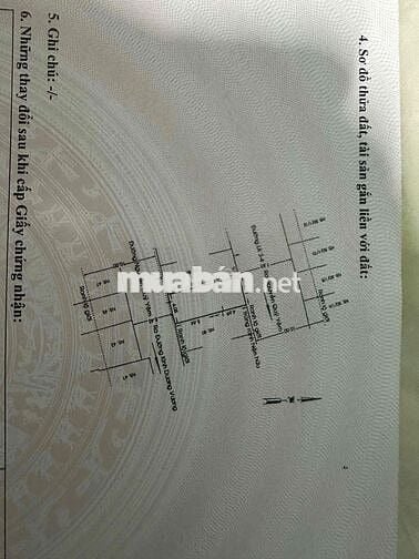 🌺Nhà bán 2 MTKD Nguyễn Quý Yêm - An lạc . DT : 4m*10m . Giá 5,5 tỷ TL