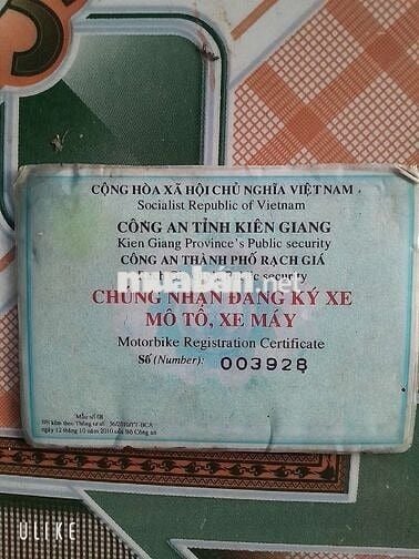 Cần bán xipo 120 6so