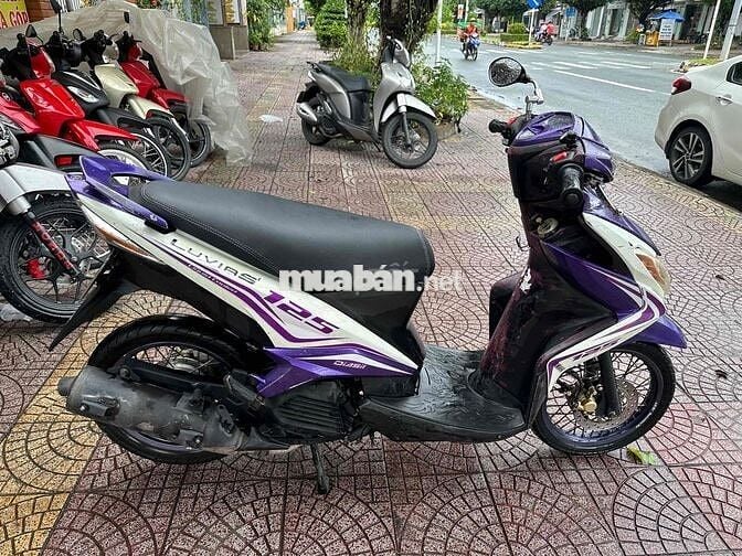 luvias rẽ vinh long