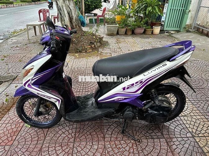 luvias rẽ vinh long