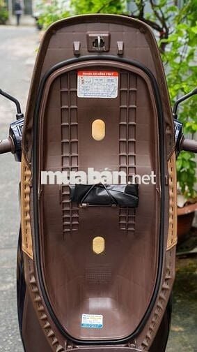 Honda Lead 2023 Premium Edition Xanh nâu