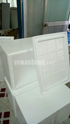 Tìm kiếm đại lý Thùng xốp - Chiết khấu hấp dẫn 