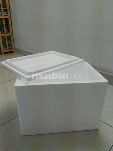 Tìm kiếm đại lý Thùng xốp - Chiết khấu hấp dẫn 