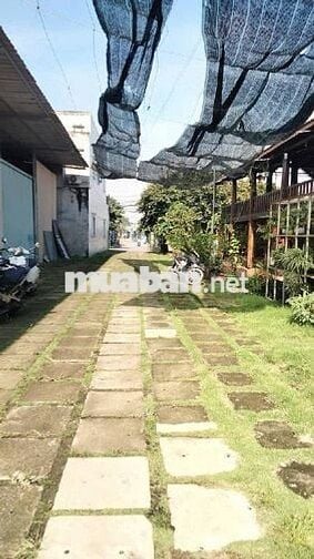 Bán Đất, 72m2, Gần TTYT Dĩ An, Phường Dĩ An, HCM, Chỉ 2,2 Tỷ.