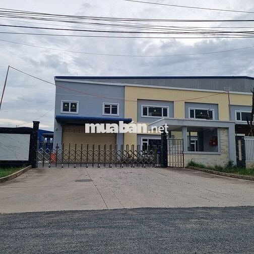 Cho thuê kho xưởng 3.000m2, KCN Đức Hòa, Long An, PCCC tự động, có VP