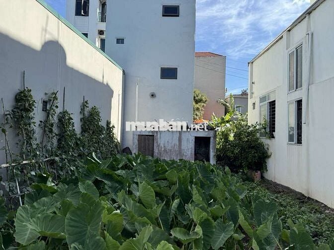 Bán đất đông dư gia lâm diện tích 75m2, giá 8,28ty