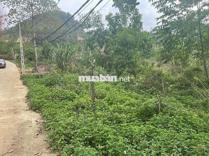 BÁN ĐẤT MẶT TIỀN OTO TRÁNH GIÁ *** LÁNG HÒA LẠC-TUYẾN METRO