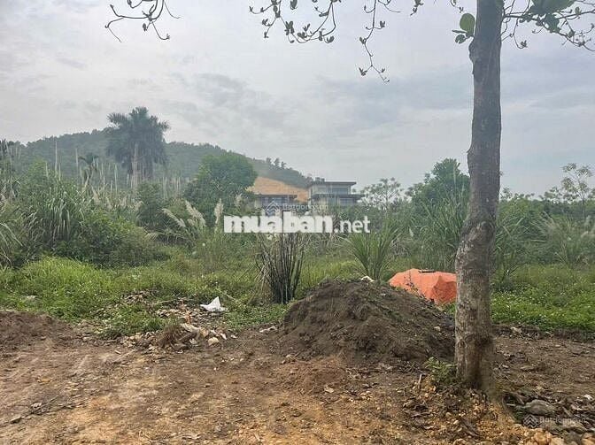 BÁN ĐẤT MẶT TIỀN OTO TRÁNH GIÁ *** LÁNG HÒA LẠC-TUYẾN METRO