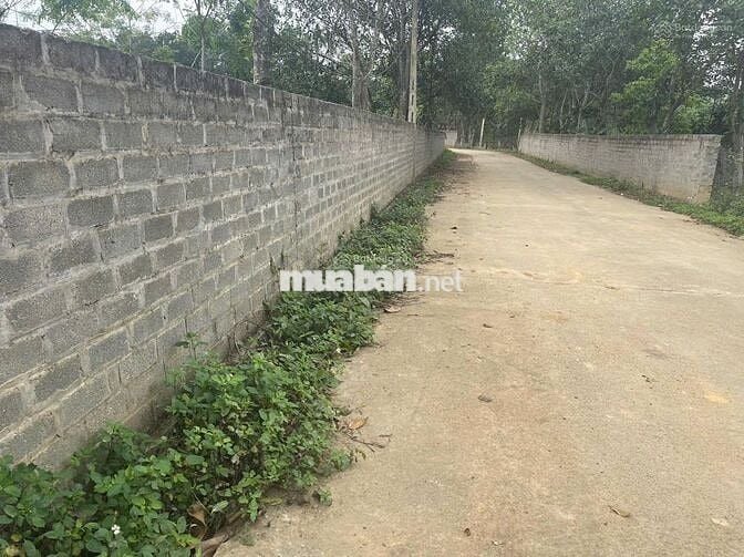 BÁN ĐẤT MẶT TIỀN OTO TRÁNH GIÁ *** LÁNG HÒA LẠC-TUYẾN METRO