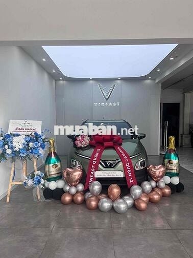 VinFast VF5 2025 Plus