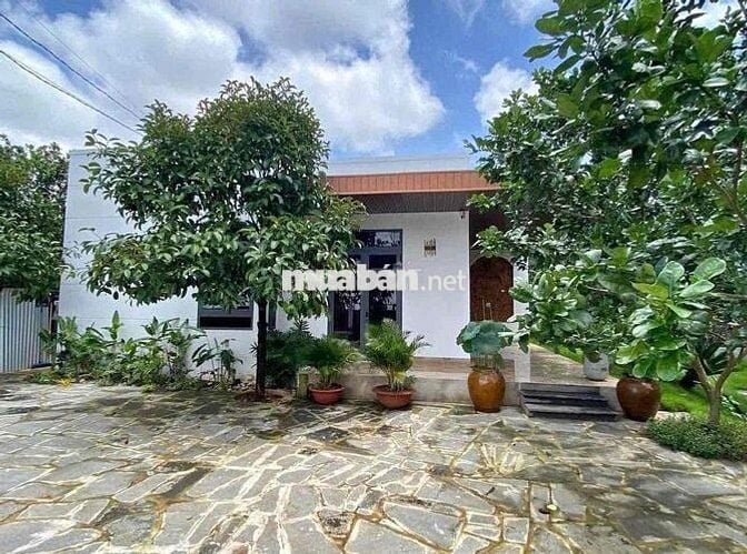 Cần bán nhanh căn nhà vườn có sẵn 25 cây sầu riêng