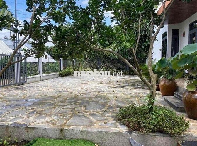 Cần bán nhanh căn nhà vườn có sẵn 25 cây sầu riêng