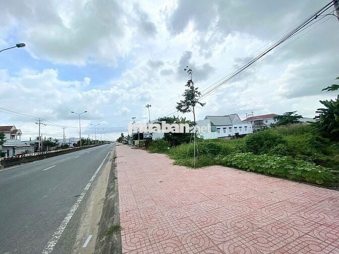 Đất nền Cần Giuộc 300m2 - DT830, quốc lộ 50 gần cảng Quốc Tế Long An