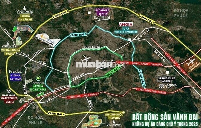 Đất nền Cần Giuộc 300m2 - DT830, quốc lộ 50 gần cảng Quốc Tế Long An