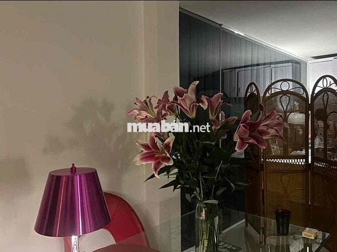 Cho thuê chung cư mini 55m2 2PN 2WC cửa sổ ánh sáng Huỳnh Văn Bánh PN