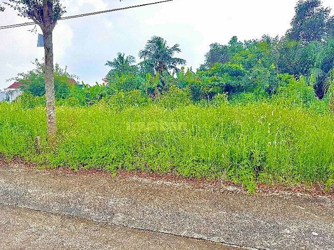 Đất sổ hồng riêng 130m2 ODT hẻm 6m BV Nhi Đồng 3 x Nguyễn Cửu Phú.